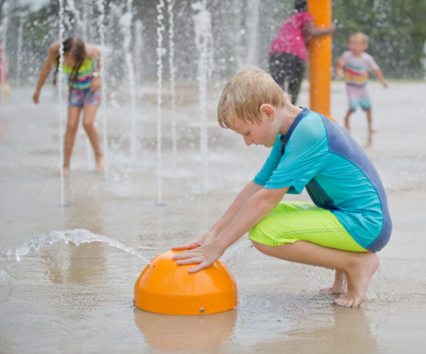 water bug fan spray