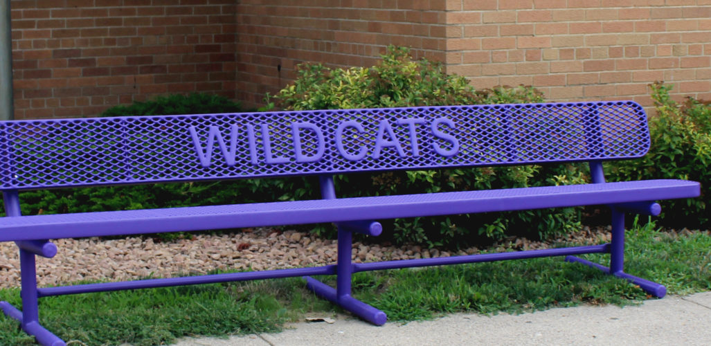 wildcats bench