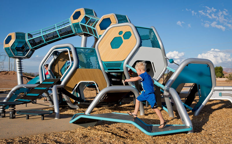 boy playing on hedra