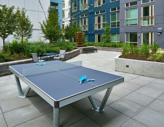 ping pong table