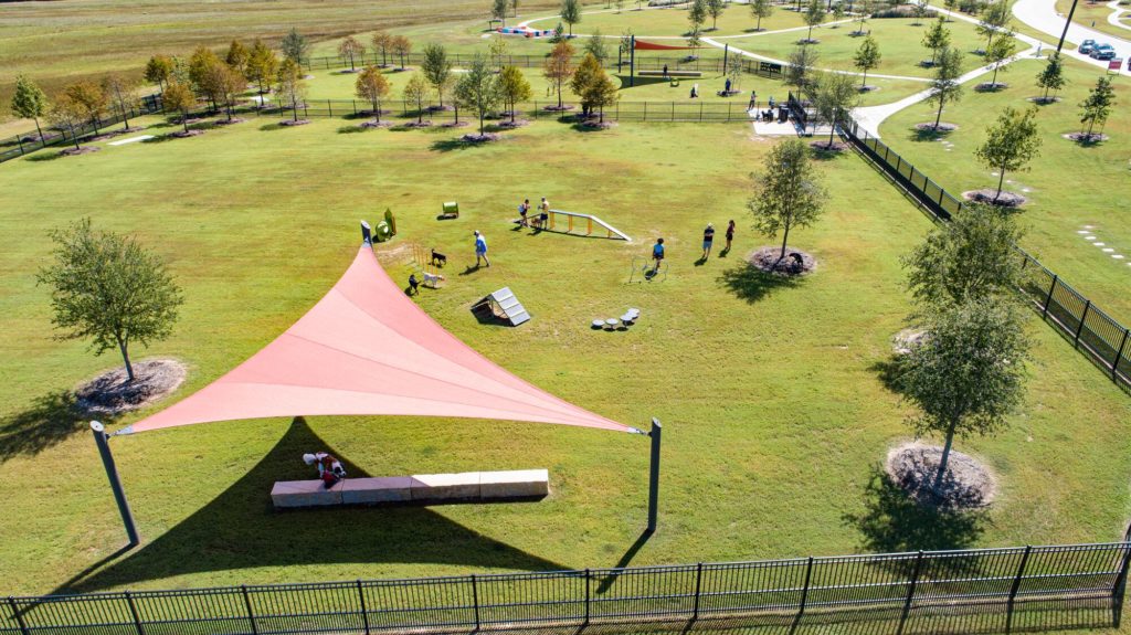 dog park with shade, dog park agility equipment, and seating
