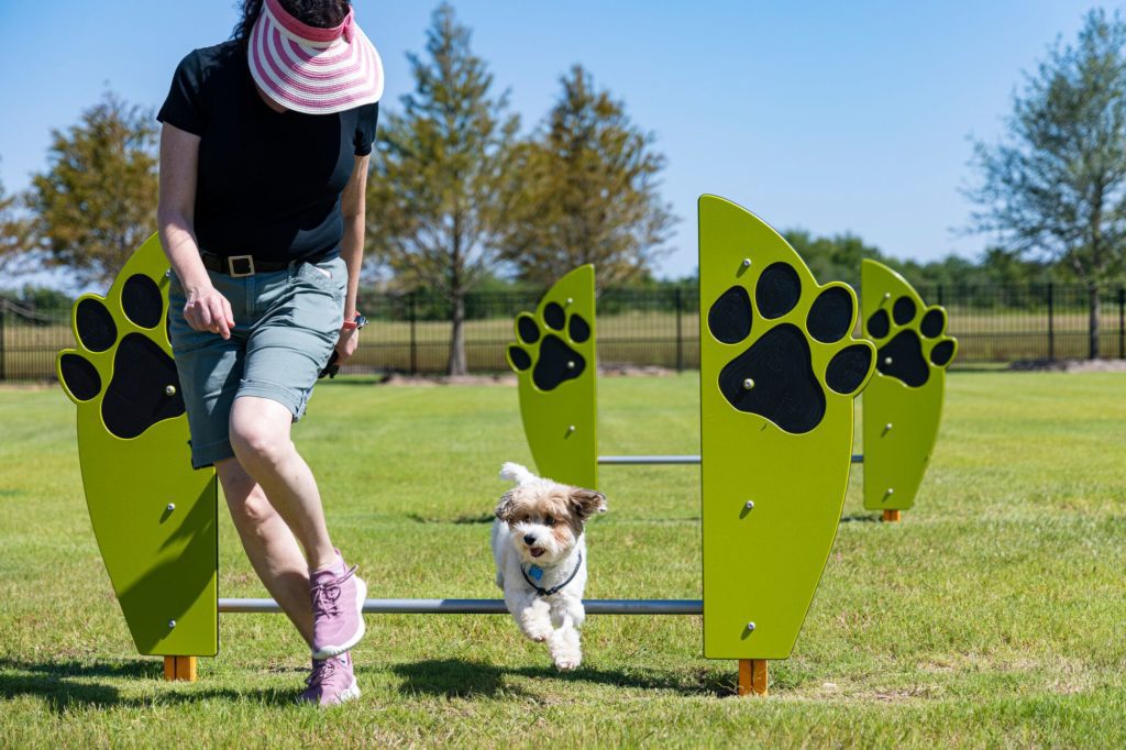 a dog jumping over dog park agility equipment